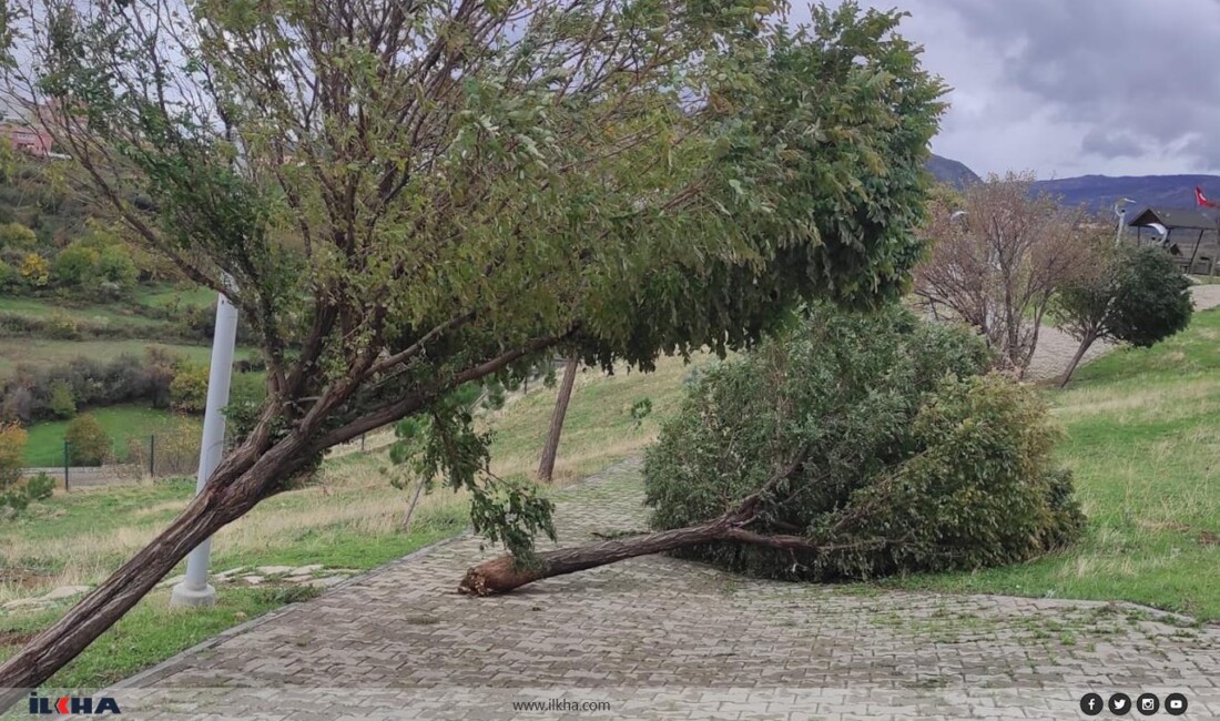 Meteoroloji Genel Müdürlüğü, Güney