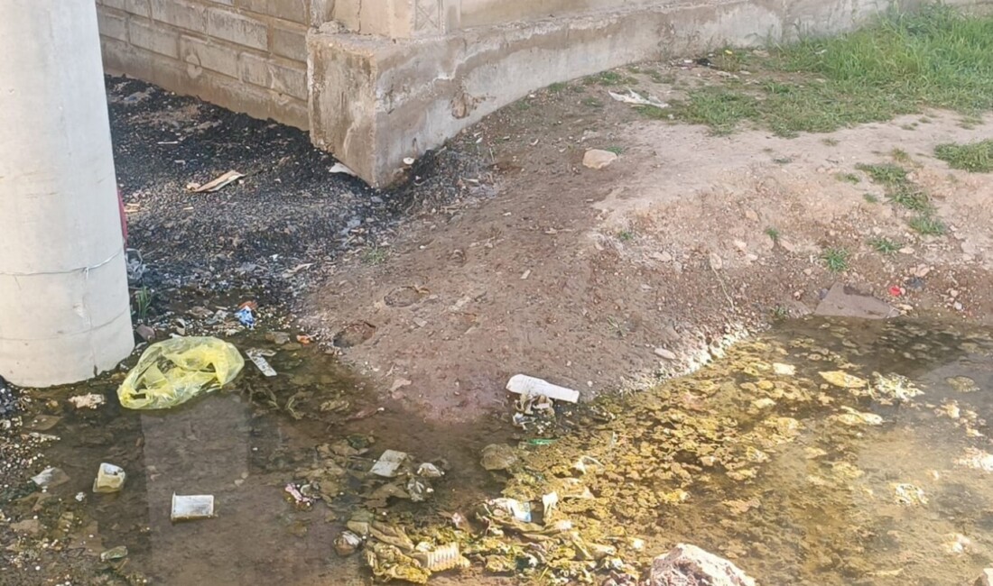 Mardin’in Nusaybin ilçesinde mahalleye