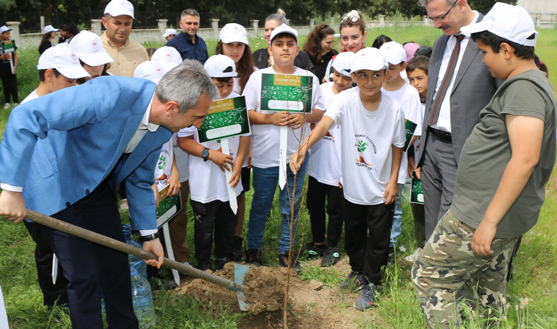 Adana'da Tarım ve Orman