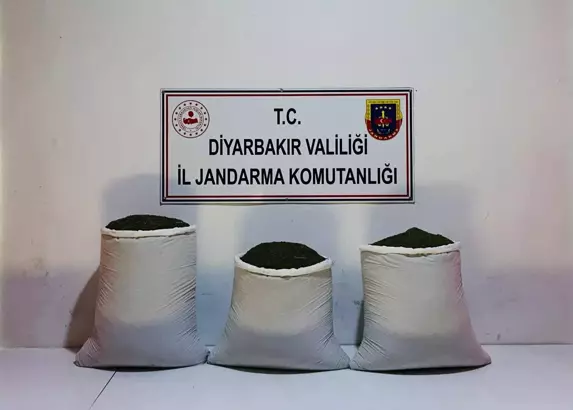 DİYARBAKIR’da jandarma ekiplerinin düzenlediği