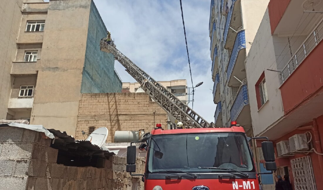 Mardin’in Nusaybin ilçesinde bir