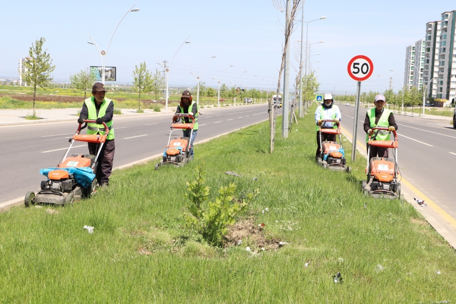 Diyarbakır Büyükşehir Belediyesi, yeşil