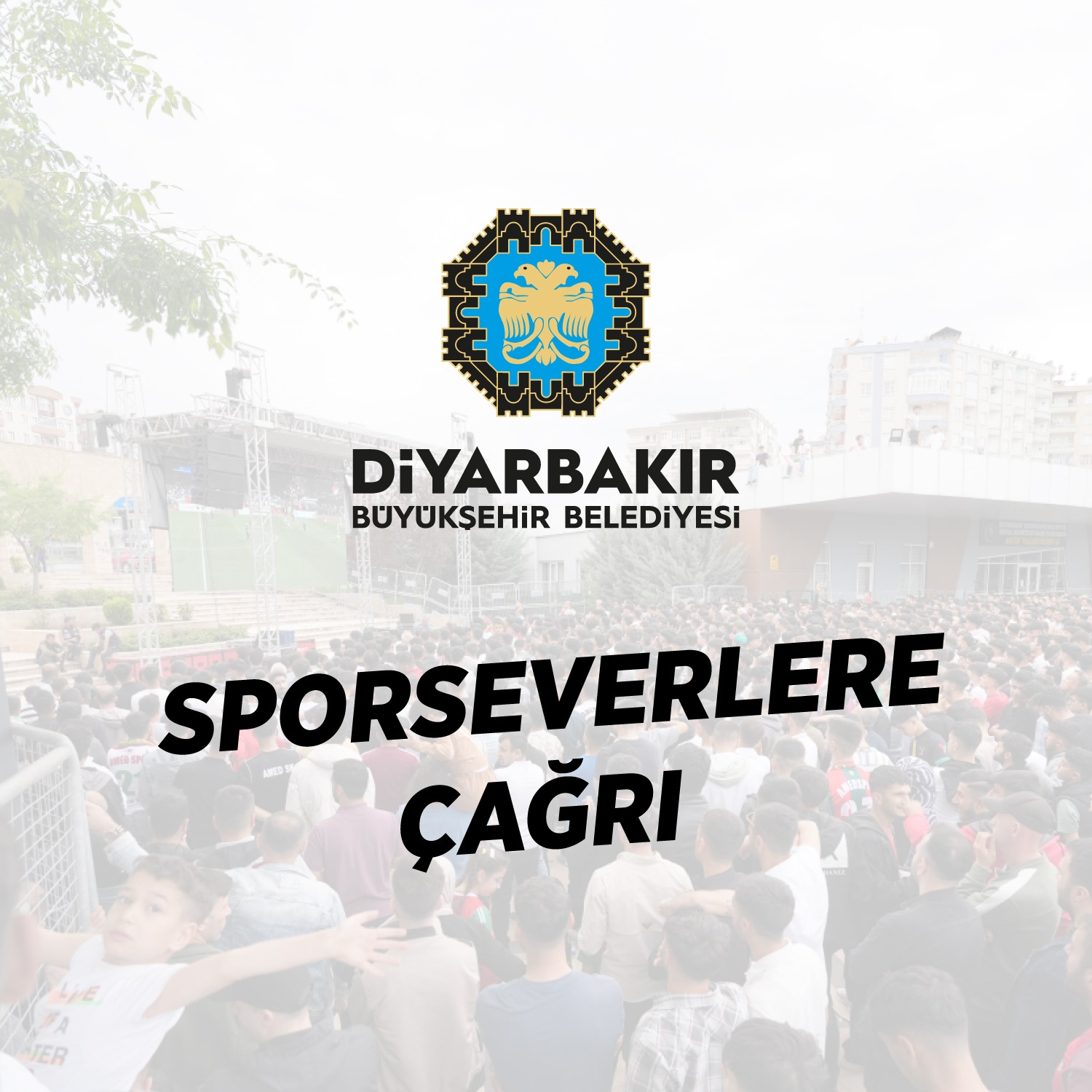 Eş Başkanlardan Havai fişek kullanmayın Çağrısı