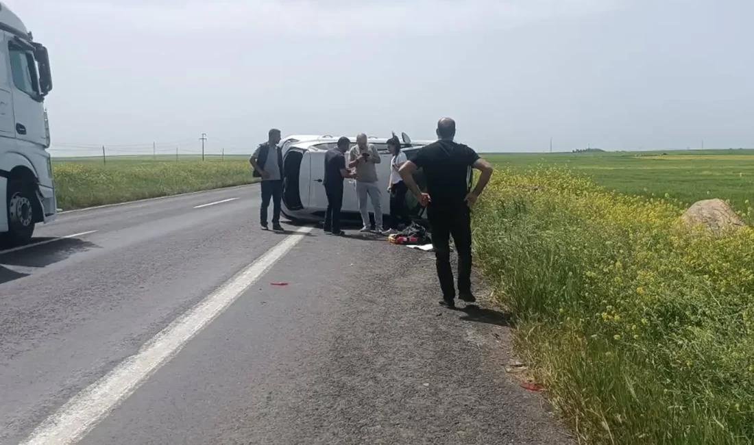 Şanlıurfa-Diyarbakır kara yolunda kontrolden