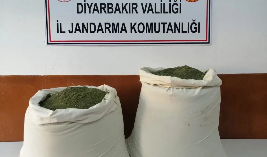 Diyarbakır'ın Lice ilçesinde düzenlenen