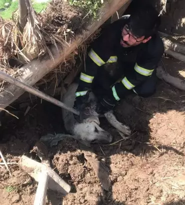 Diyarbakır’da göçük altında kalan köpeği itfaiye kurtardı